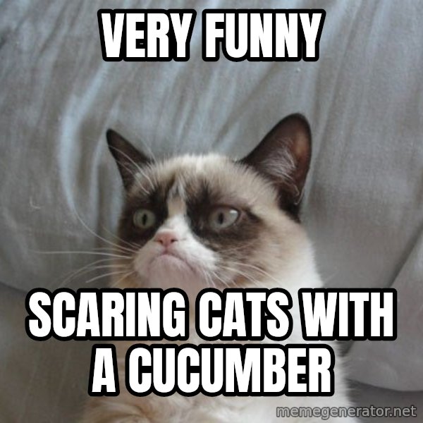 Grumpy cat good meme: very funny / scaring cats with a cucumber