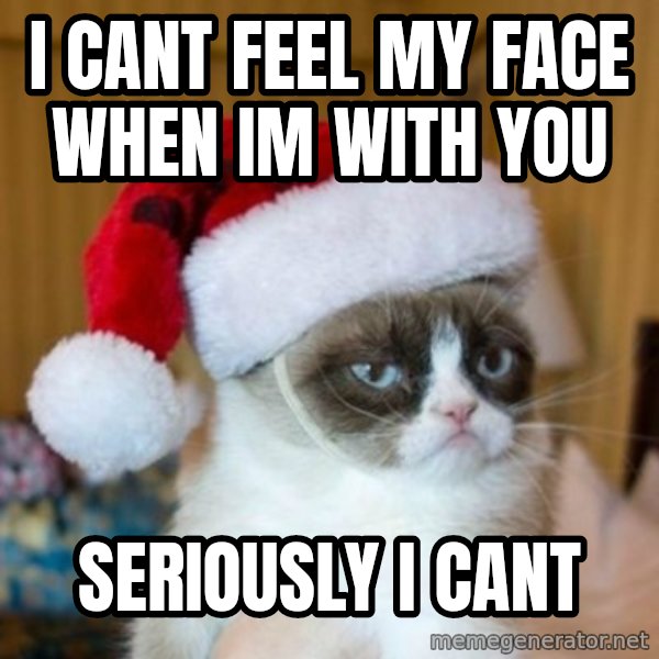 Grumpy Cat Santa Hat meme: i cant feel my face when im with you / seriously i cant
