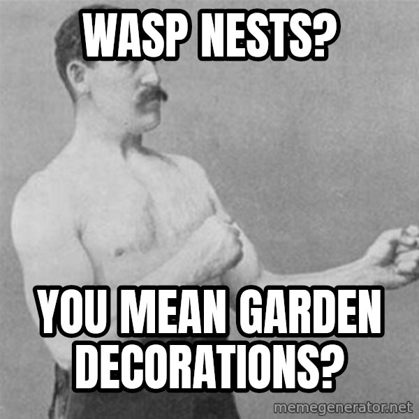 overly manlyman meme: wasp nests? / you mean garden decorations?