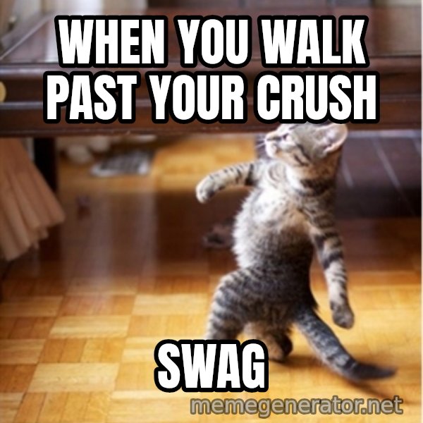 walking cat meme: When you walk past your crush / swag