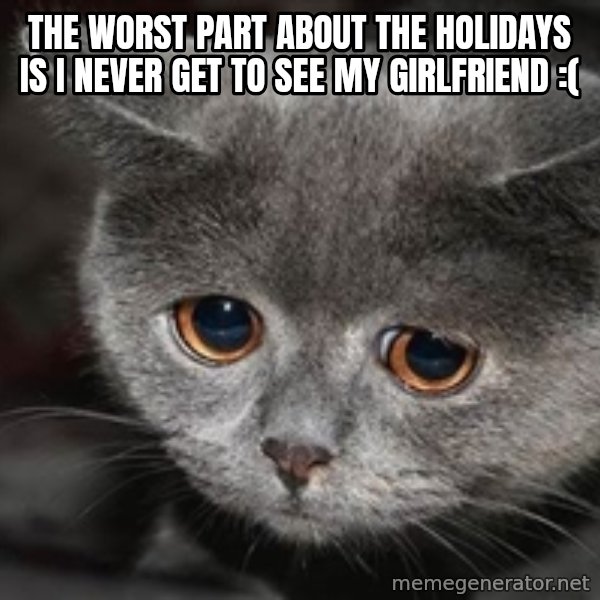 Sadcat meme: the worst part about the holidays is i never get to see my girlfriend :(