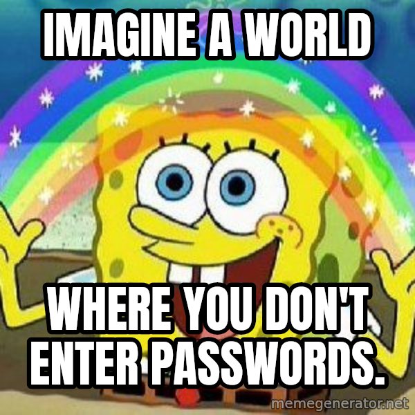 Imagination meme: Imagine a world / Where you don't enter passwords.