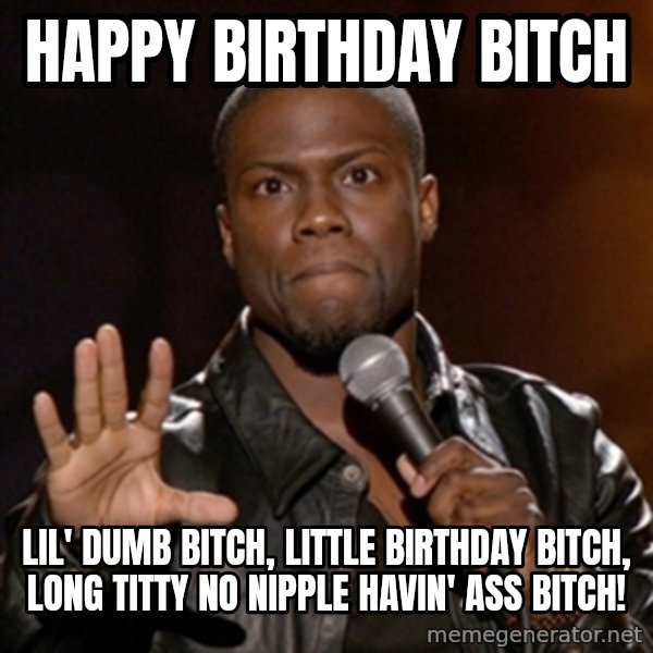 Kevin Hart meme: Happy Birthday Bitch / lil' dumb bitch, little birthday bitch, long titty no nipple havin' ass bitch!