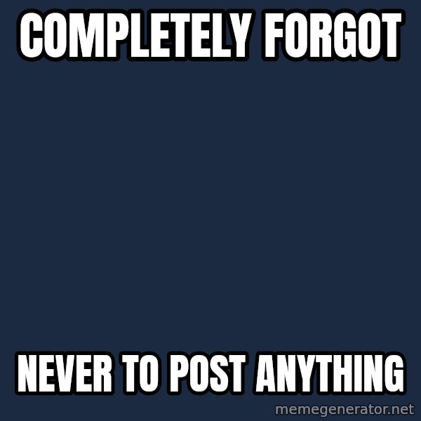 Sadcat meme: COMPLETELY FORGOT / never to post anything