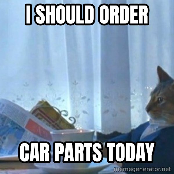newspaper cat realization meme: I should order / car parts today