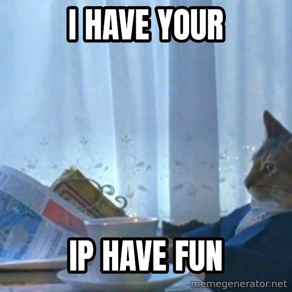 newspaper cat realization meme: I have your / IP have fun
