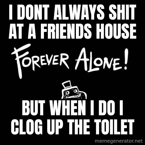 The Most Interesting Man In The World meme: I dont always shit at a friends house / But when i do i clog up the toilet