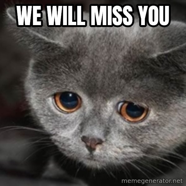 Sadcat meme: We will miss you