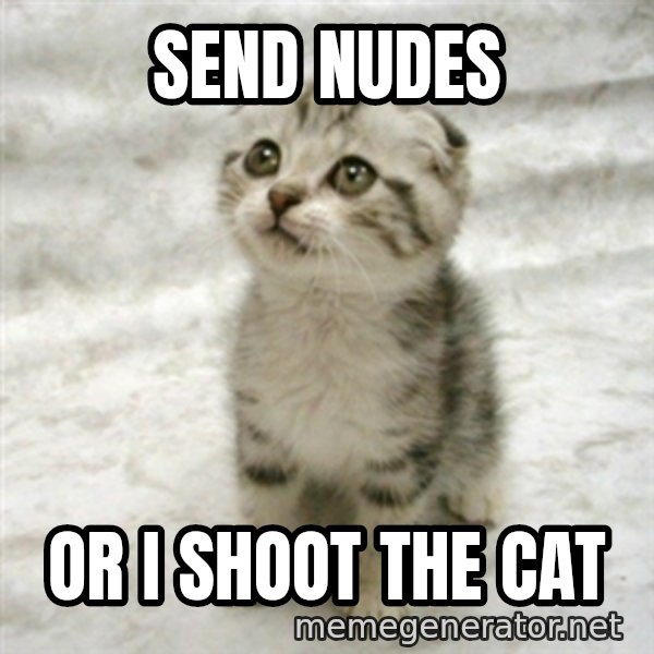 Can haz cat meme: send nudes / or I shoot the cat