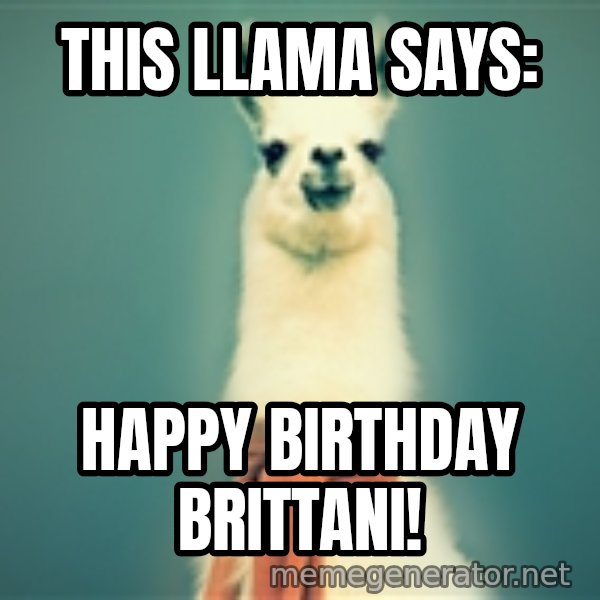 Pancakes llama meme: This llama says: / happy birthday brittani!