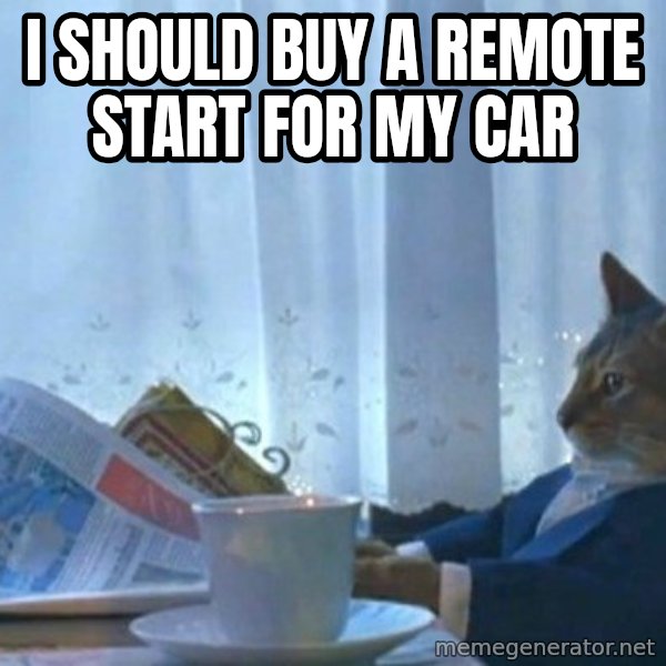 newspaper cat realization meme: I should buy a remote start for my car