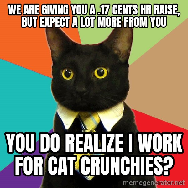 Business Cat meme: we are giving you a .17 cents hr raise, but expect a lot more from you / You do realize I work for cat crunchies?