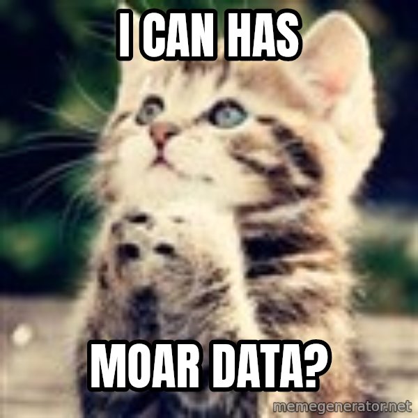 Praying Kitten meme: i can has / moar data?