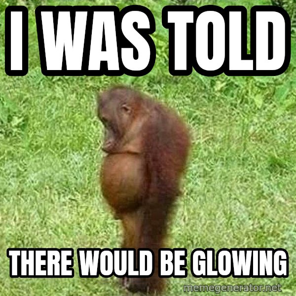 Orangutan Stan meme: I was told / there would be glowing