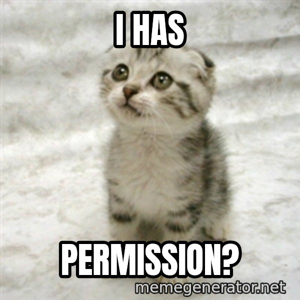 Can haz cat meme: I has / permission?