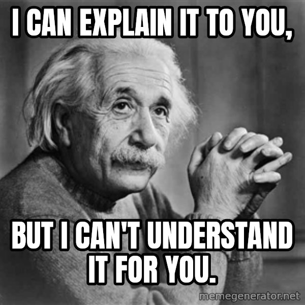 Albert Einstein meme: I can explain it to you, / But I can't understand it for you.