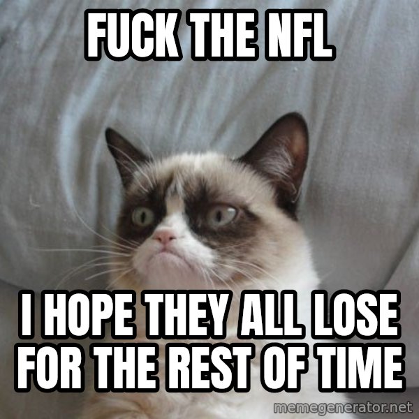 Grumpy cat good meme: fuck the NFL / I hope they all lose for the rest of time