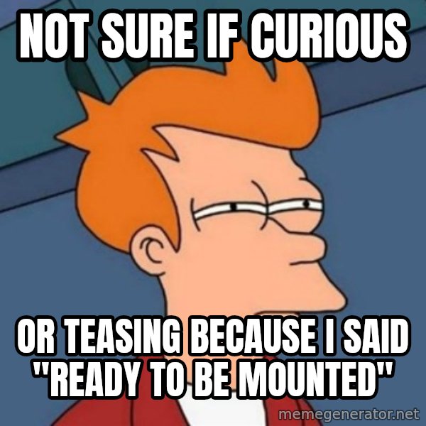 Not sure if troll meme: NOT SURE IF CURIOUS / OR TEASING BECAUSE I SAID "READY TO BE MOUNTED"