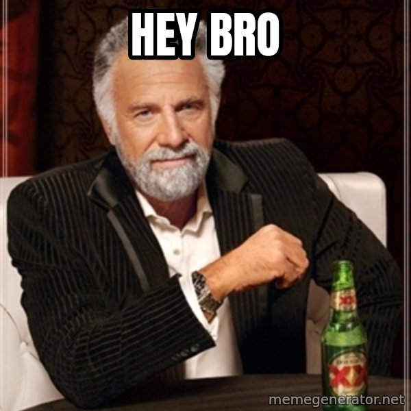 Dos Equis Guy gives advice meme: HEY BRO