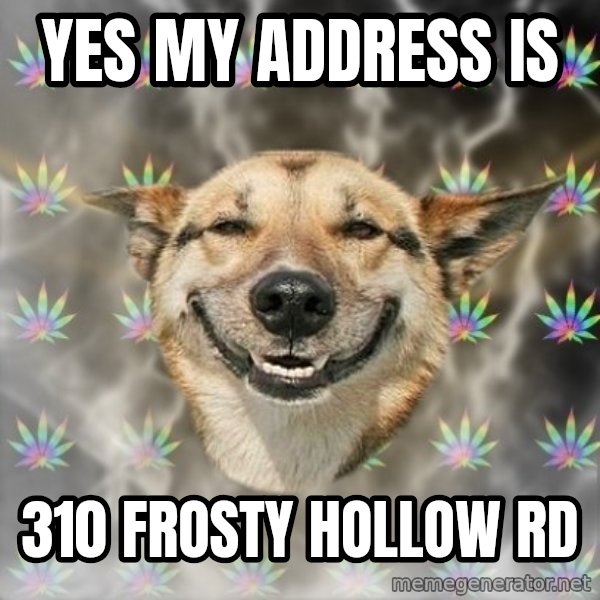 Stoner Dog meme: YES MY ADDRESS IS / 310 FROSTY HOLLOW RD