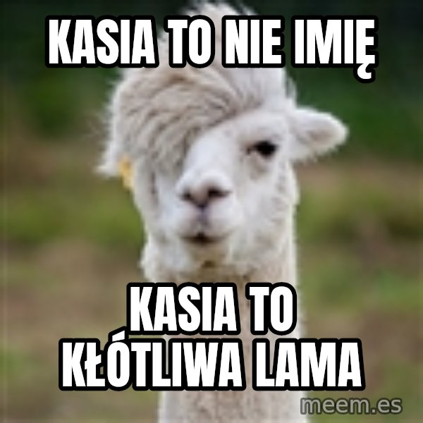 Hipster Llama meme: kasia to nie imię / kasia to kłótliwa lama