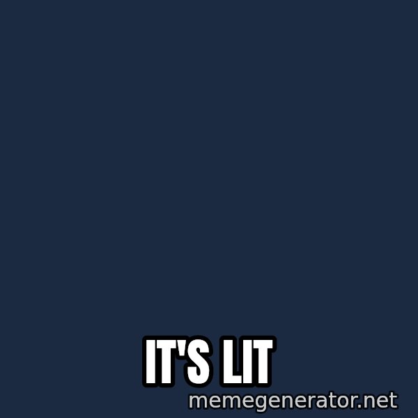Seal Lit meme: it's lit