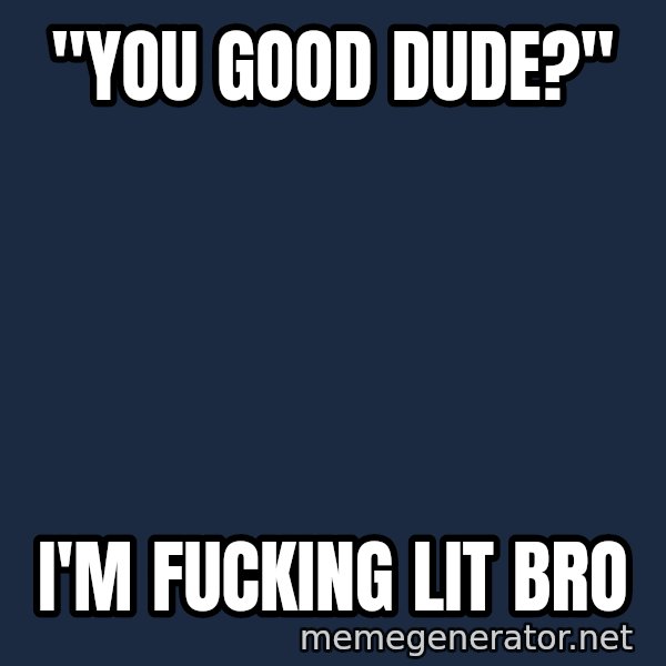 Seal Lit meme: "YOU GOOD DUDE?" / I'M FUCKING LIT BRO