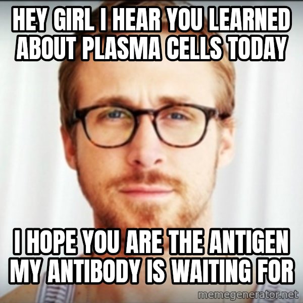 ryan gosling hey girl meme: hey girl i hear you learned about plasma cells today / i hope you are the antigen my antibody is waiting for