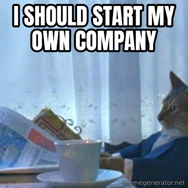 newspaper cat realization meme: I should start my own company