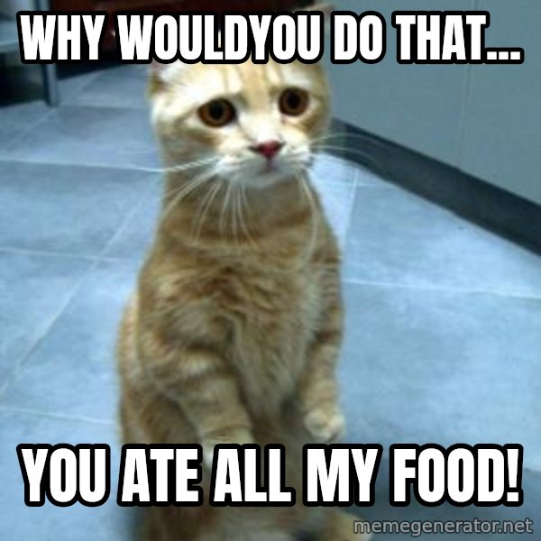 Sadcat meme: Why wouldyou do that... / You ate all my food!