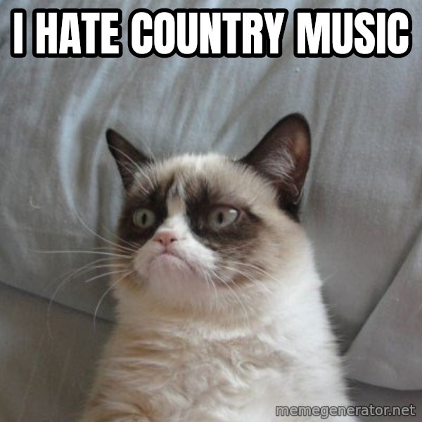 Grumpy cat good meme: I hate country music