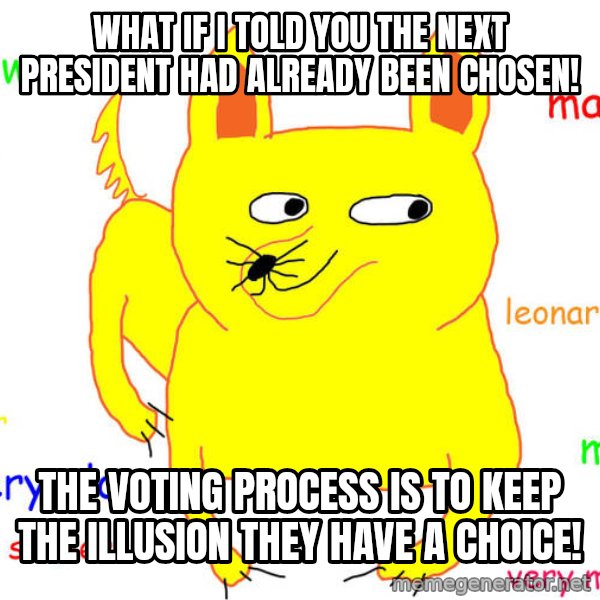 What If I Told You meme: What If I told You The next President had already been chosen! / the voting process is to keep the illusion they have a choice!