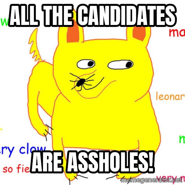 Grumpy Cat  meme: all the candidates / are assholes!