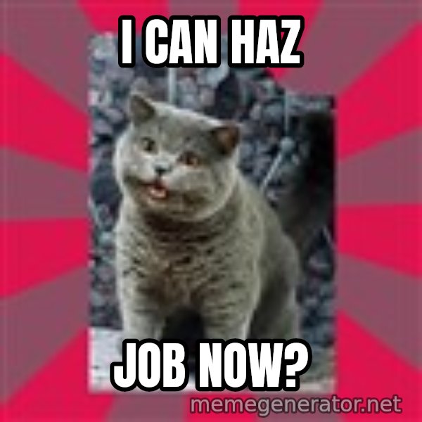 I can haz meme: I can haz / job now?