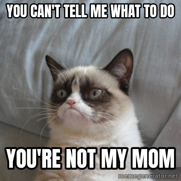 Grumpy cat good meme: You can't tell me what to do / You're not my mom
