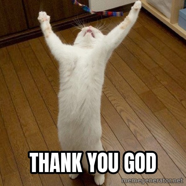 praise the lord cat meme: Thank You God