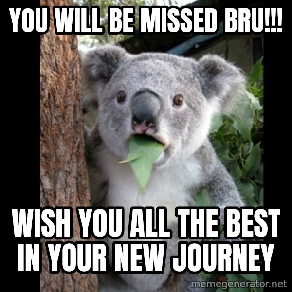 Koala can't believe it meme: You will be missed bru!!! / Wish you all the best in your new journey