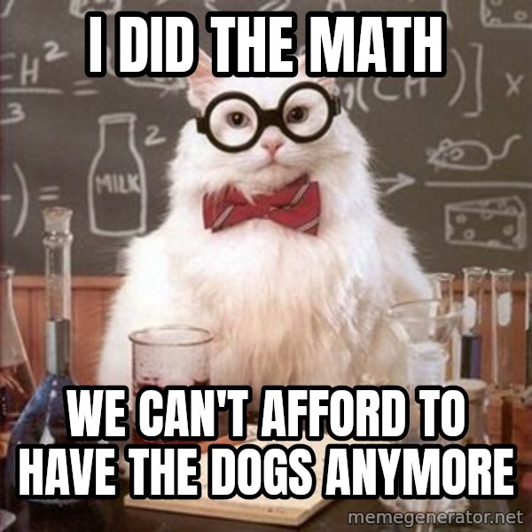 Chemistry Cat meme: I DID THE MATH / WE CAN'T AFFORD TO HAVE THE DOGS ANYMORE