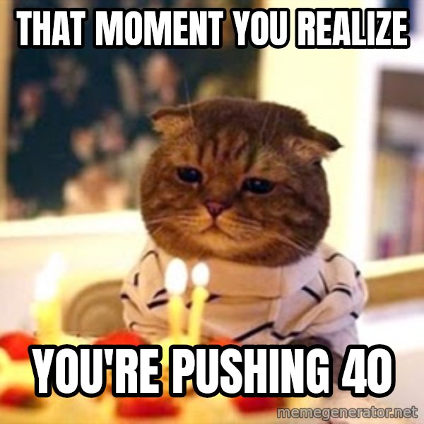 Birthday Cat meme: That moment you realize / you're pushing 40