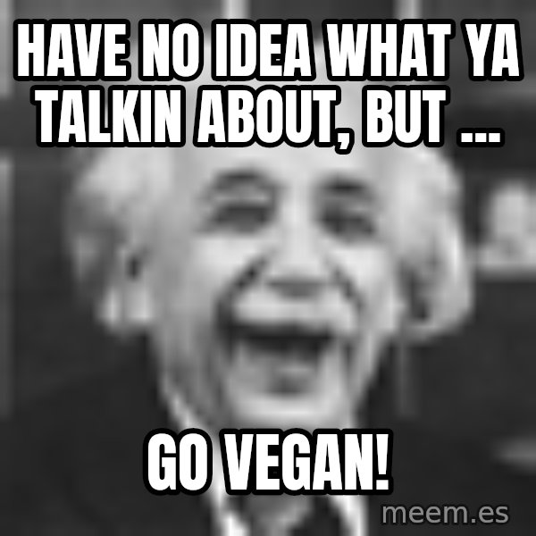 Einstein Laugh meme: Have no idea what ya talkin about, but ... / GO VEGAN!