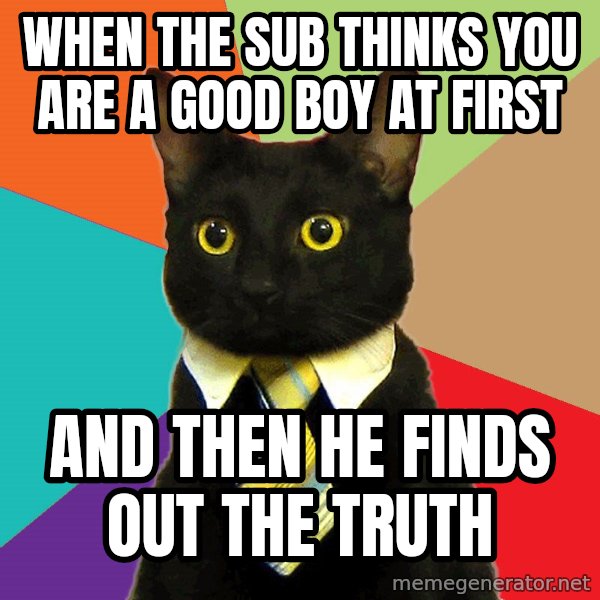 Business Cat meme: when the sub thinks you are a good boy at first / and then he finds out the truth
