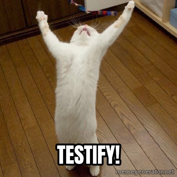 praise the lord cat meme: TESTIFY!