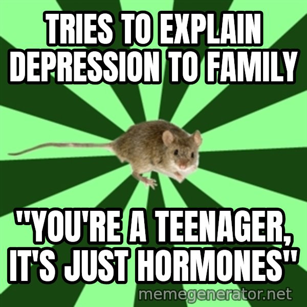 Mental Illness Mouse meme: tries to explain depression to family / "you're a teenager, it's just hormones"