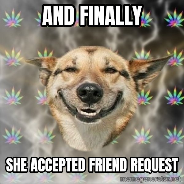 Stoner Dog meme: and finally / she accepted friend request