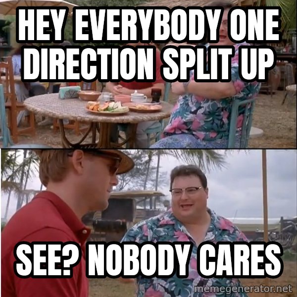 See? Nobody Cares meme: Hey everybody one direction split up / see? nobody cares