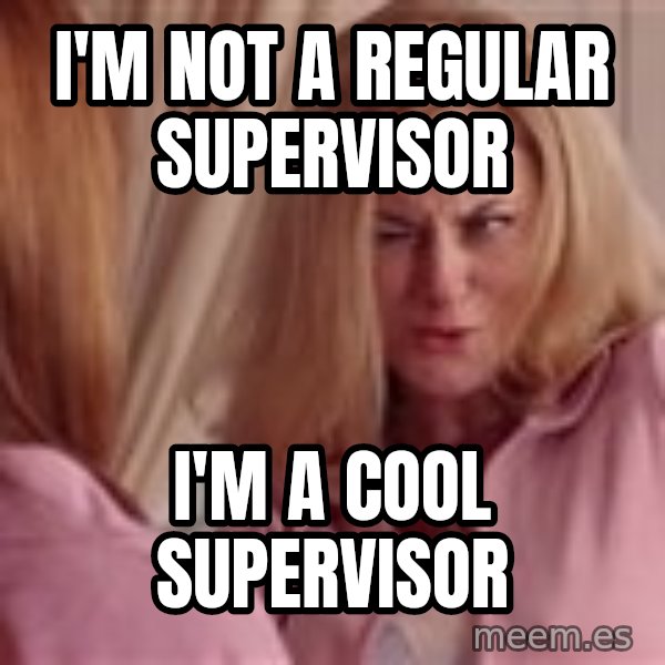 Mean Girls Cool Mom meme: I'm not a regular supervisor / i'm a cool supervisor