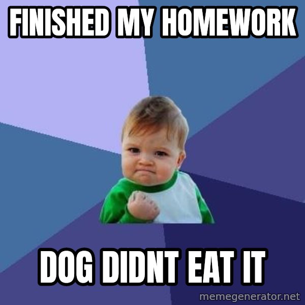 Success Kid meme: finished my homework / dog didnt eat it