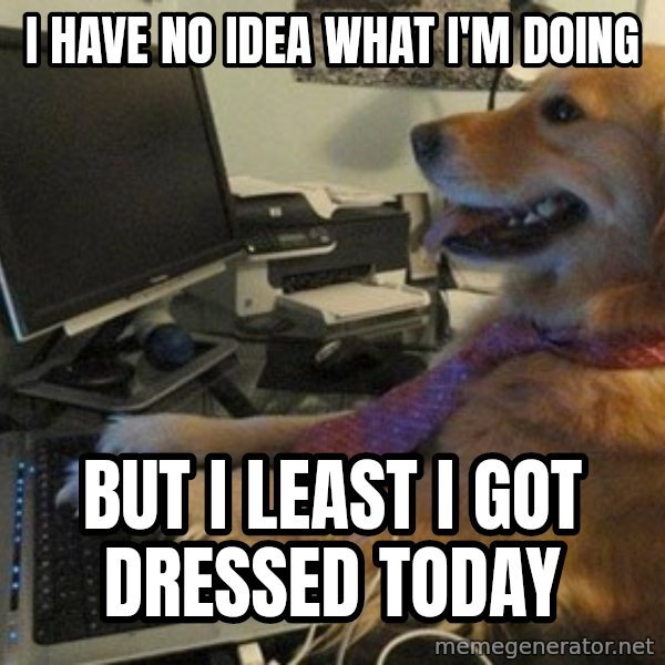 I have no idea what I'm doing - Dog with Tie meme: I have no idea what I'm doing / But I least I got dressed today