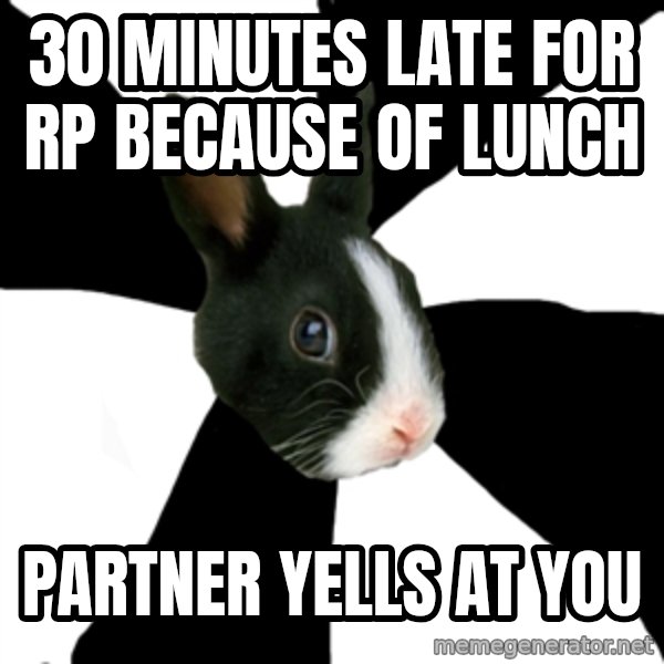 Roleplaying Rabbit meme: 30 MINUTES LATE FOR RP BECAUSE OF LUNCH / PARTNER YELLS AT YOU