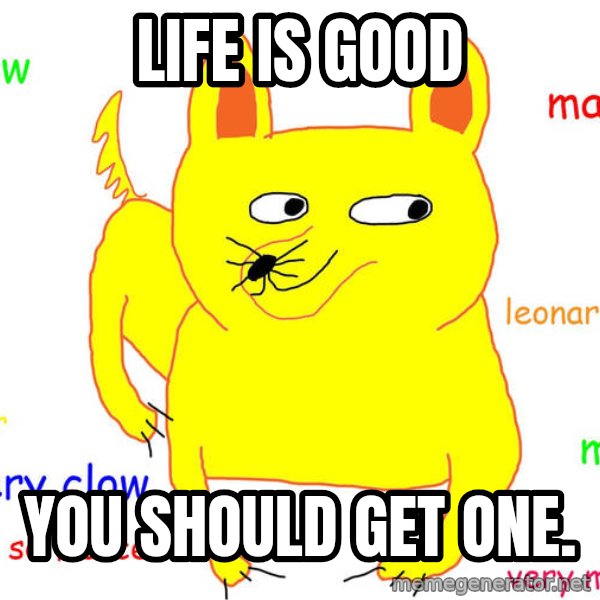 Grumpy Cat  meme: Life is good / You should get one.